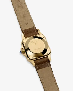Aimé Leon Dore Cartier Santos de Cartier Watch