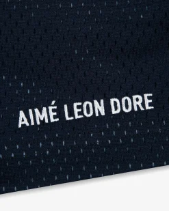 Aimé Leon Dore Colorblock Court Short