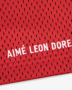 Aimé Leon Dore Colorblock Court Short