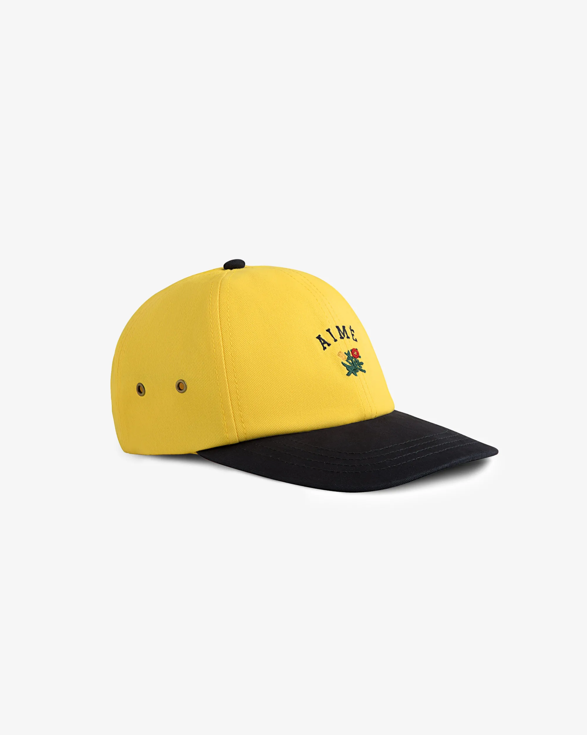 Aimé Leon Dore Colorblock     Crest     Hat