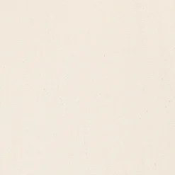 Aimé Leon Dore Single Pleated Pant