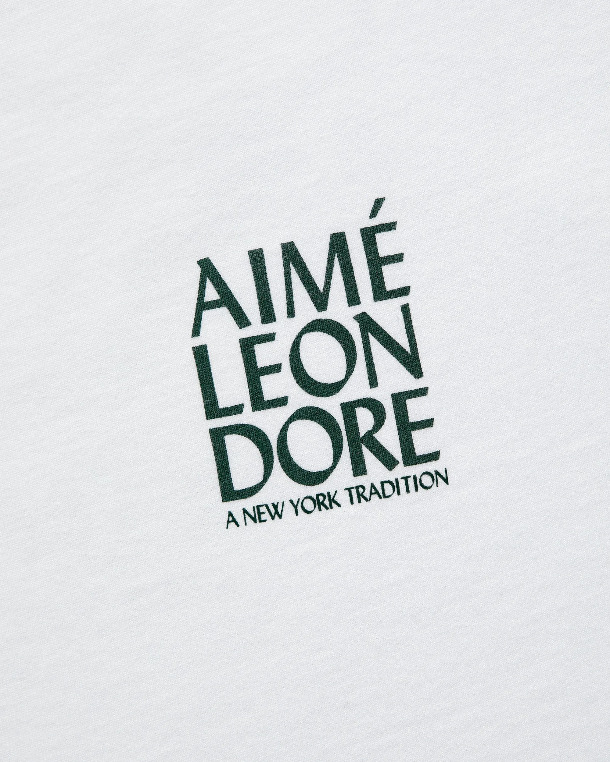 Aimé Leon Dore Swimmers Tee