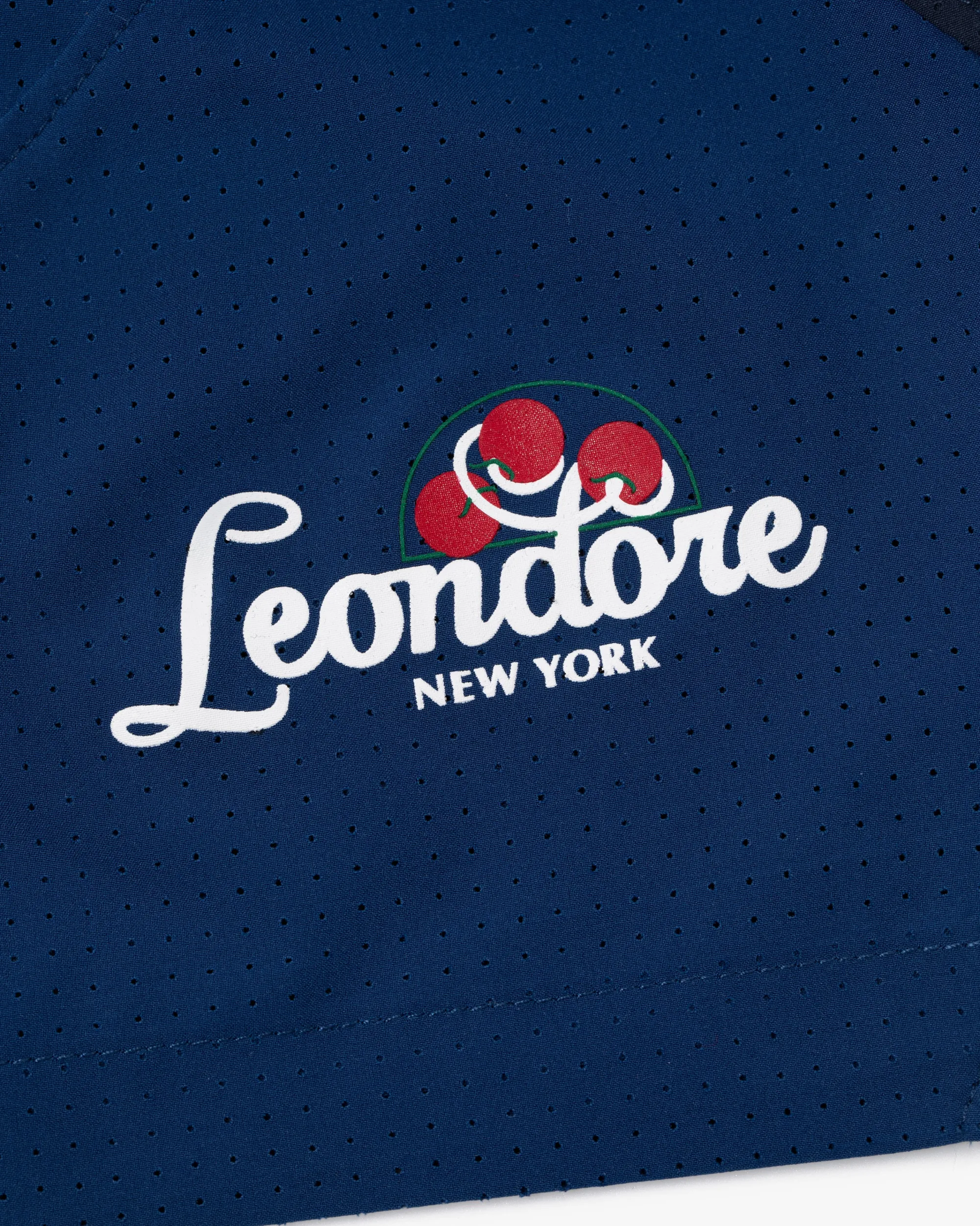 Aimé Leon Dore Team Leon Performance Short