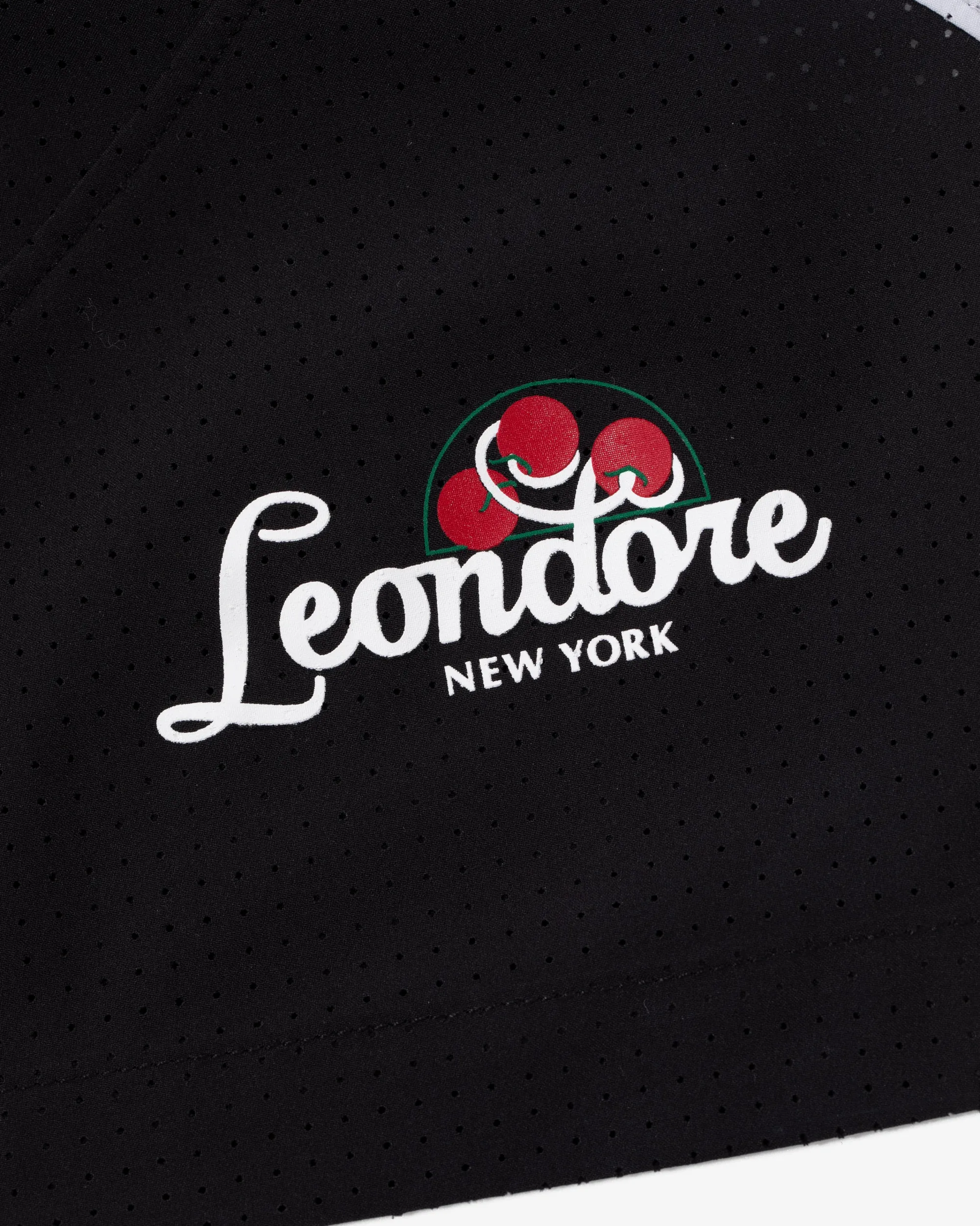 Aimé Leon Dore Team Leon Performance Short